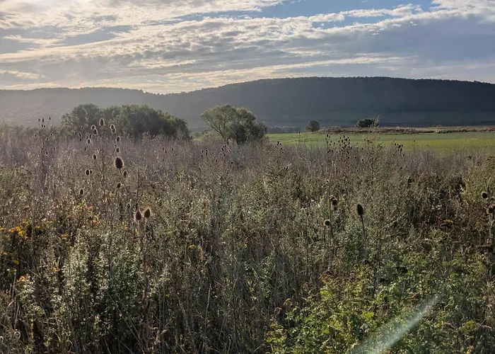 Familie Baus Hammelburg